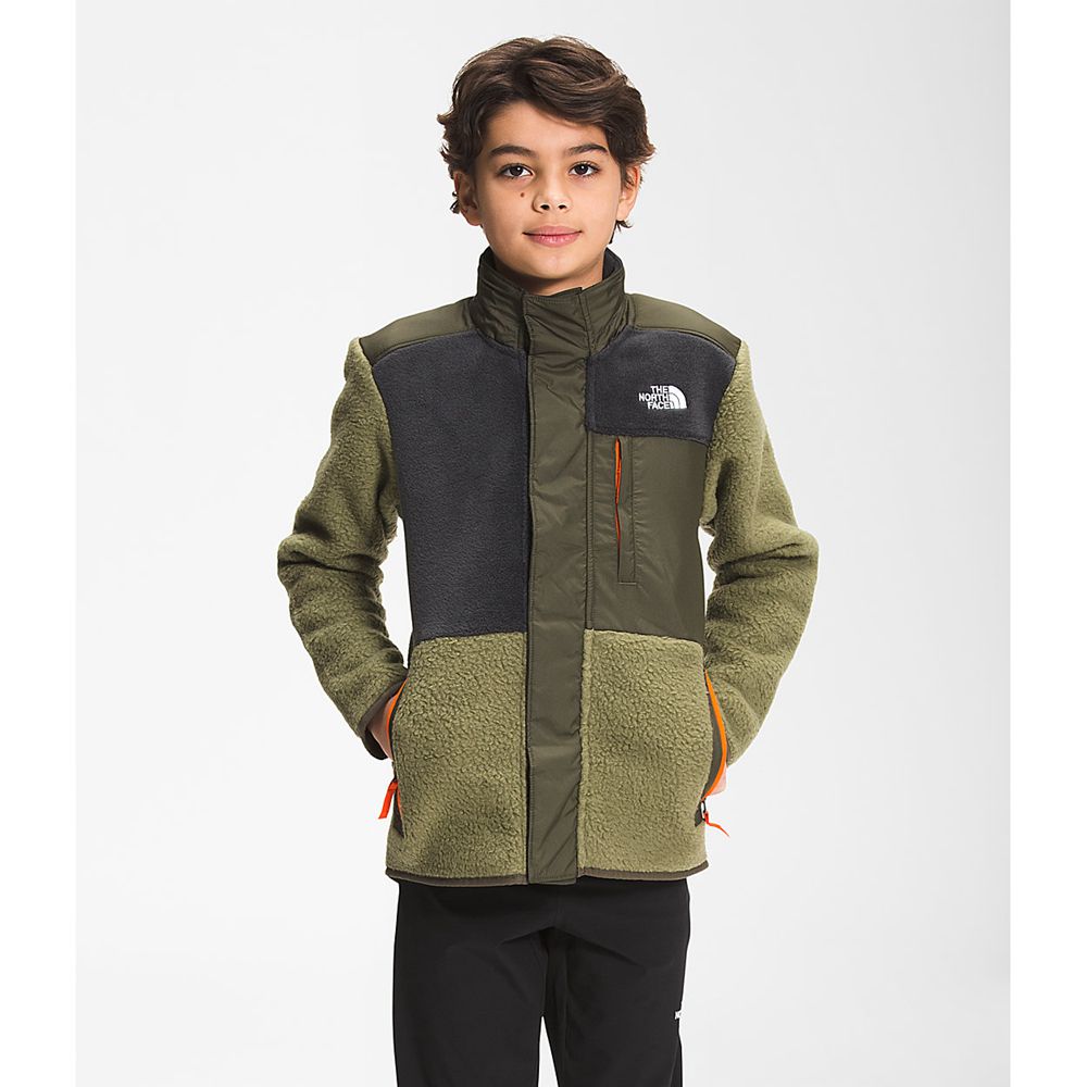 The North Face Fleeces Boys Australia - The North Face Forrest Mixed-Media Olive Green (KVC-798146)